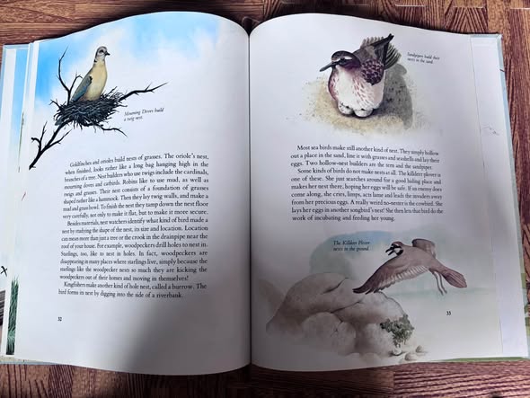 SÁCH KHÁM PHÁ KHOA HỌC: BIRDS OF THE WORLD image 5
