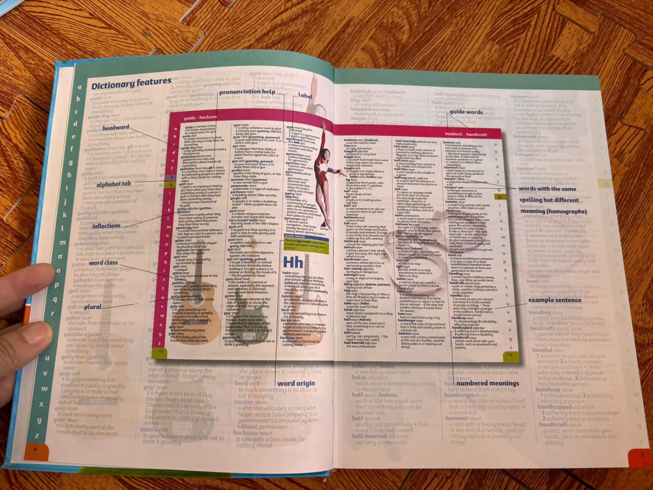 OXFORD ILLUSTRATED CHILDREN'S DICTIONARY & THESAURUS — ảnh 2