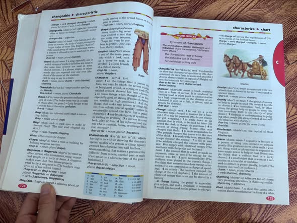 WEBSTER'S NEW WORLD CHILDREN'S DICTIONARY (SECOND EDITION) — ảnh 3
