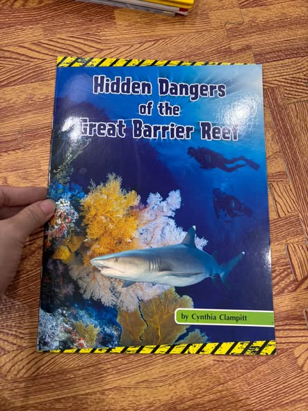 HIDDEN DANGERS OF THE GREAT BARRIER REEF ( — ảnh 1