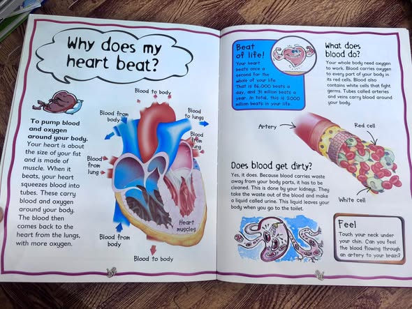 WHY? WHY? WHY? FIRST BOOK OF QUESTIONS AND ANSWERS — ảnh 5