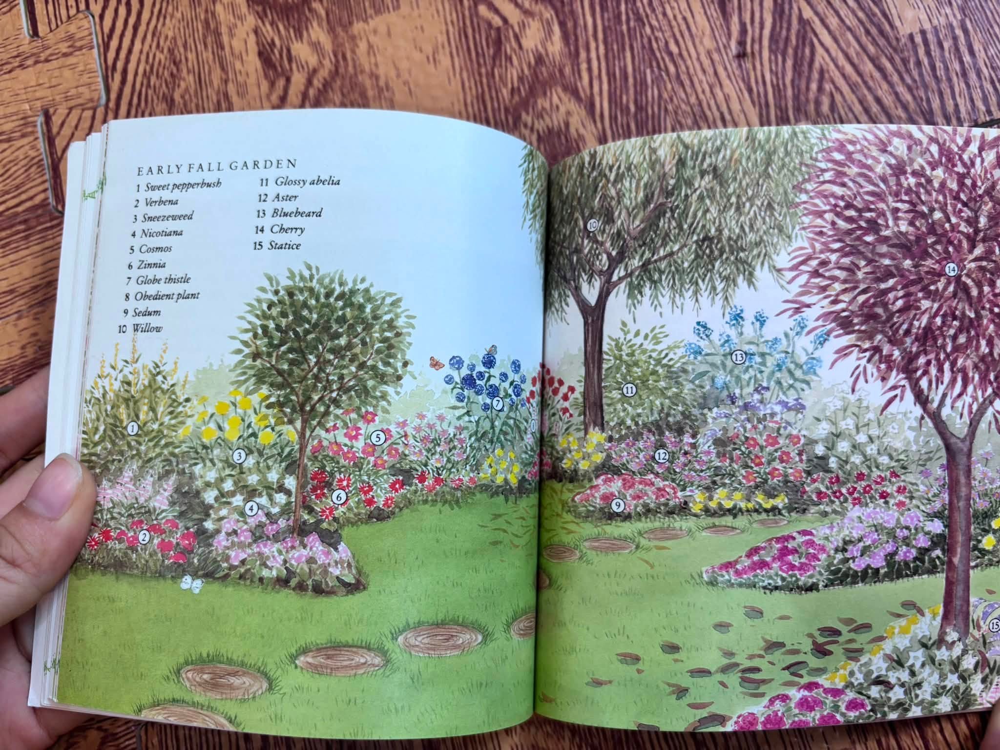 CREATING A BUTTERFLY GARDEN  image 3