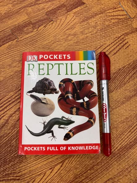 DK POCKETS: REPTILES