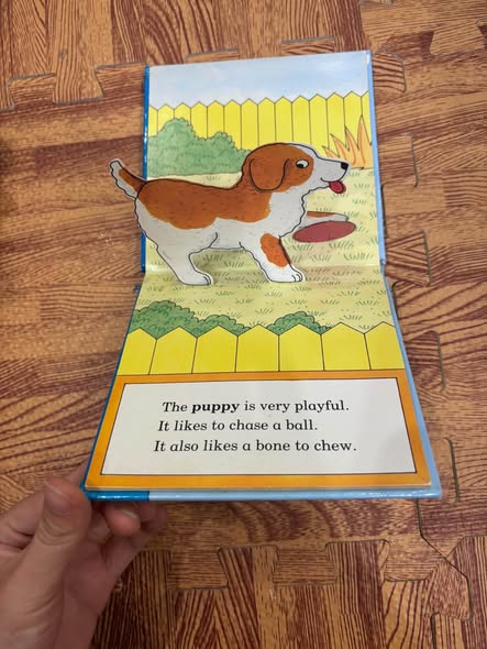 MY STAND UP BABY ANIMALS — ảnh 5