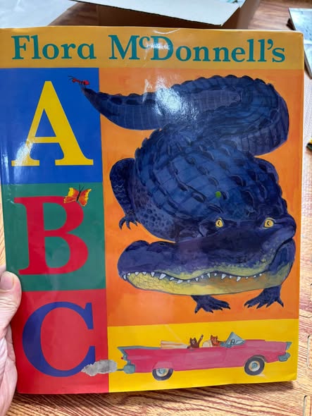 FLORA MCDONNELL’S ABC  — ảnh 1