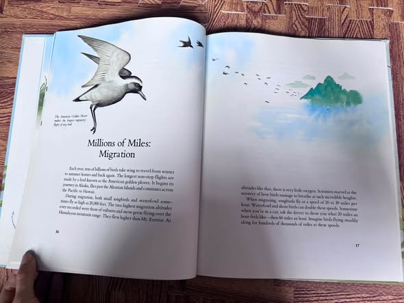 SÁCH KHÁM PHÁ KHOA HỌC: BIRDS OF THE WORLD image 2
