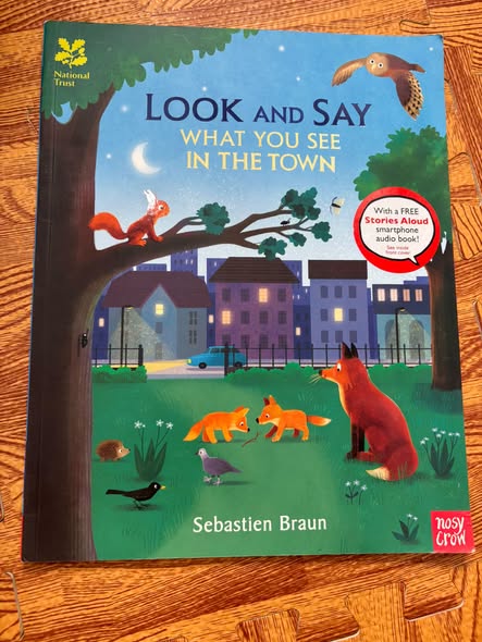 LOOK AND SAY WHAT YOU SEE IN THE TOWN — ảnh 1