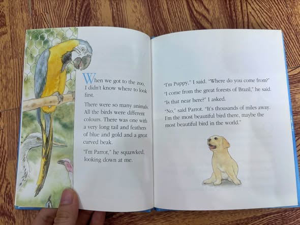 PUPPY'S WILD TIME — ảnh 5