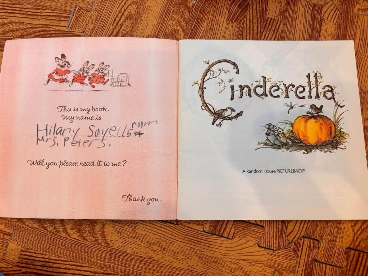 HILARY KNIGHT'S CINDERELLA — ảnh 2