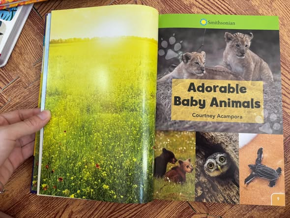 SMITHSONIAN READERS: READ WITH ME! (PRE-LEVEL 1) — ảnh 3