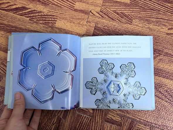 THE LITTLE BOOK OF SNOWFLAKES image 2