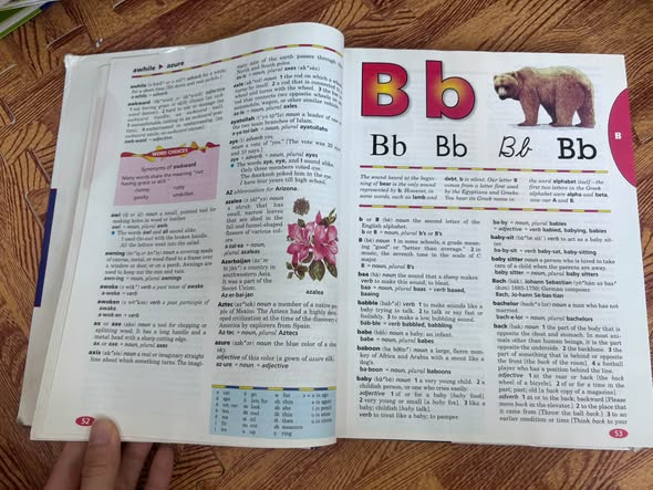 WEBSTER'S NEW WORLD CHILDREN'S DICTIONARY (SECOND EDITION) — ảnh 2