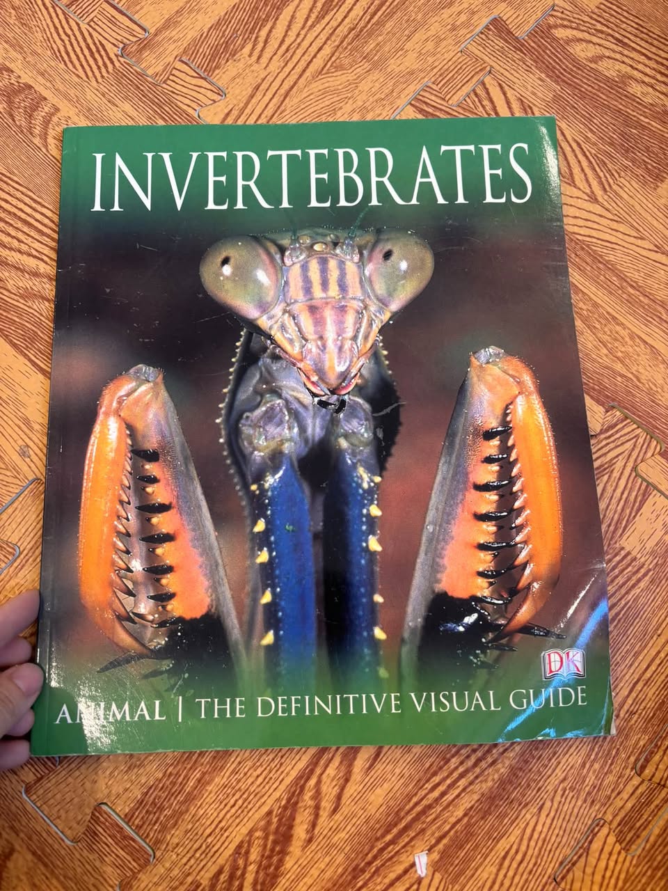 INVERTEBRATES (ANIMAL | THE DEFINITIVE VISUAL GUIDE)