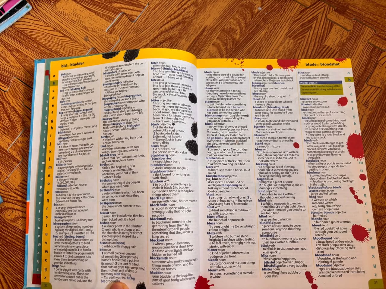 OXFORD ILLUSTRATED CHILDREN'S DICTIONARY & THESAURUS — ảnh 4