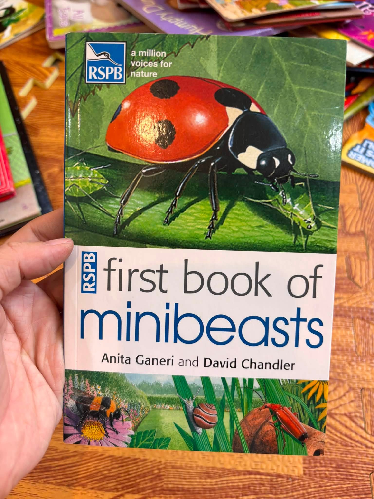 RSPB FIRST BOOK OF MINIBEASTS