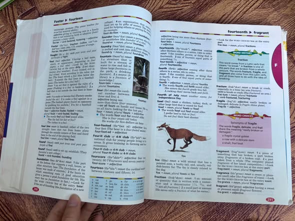 WEBSTER'S NEW WORLD CHILDREN'S DICTIONARY (SECOND EDITION) — ảnh 4