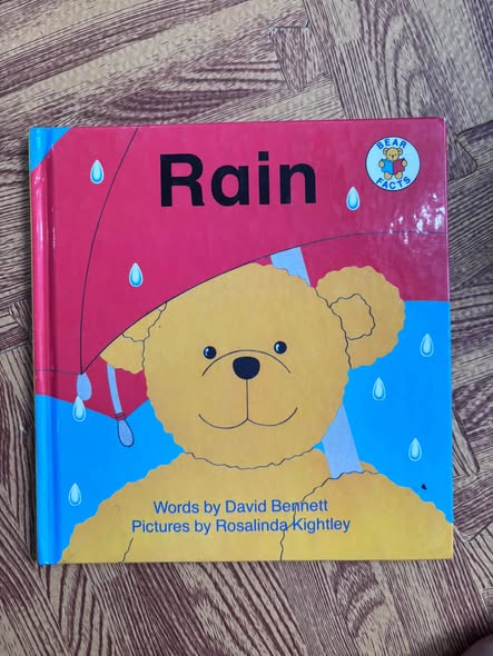 RAIN (BEAR FACTS)