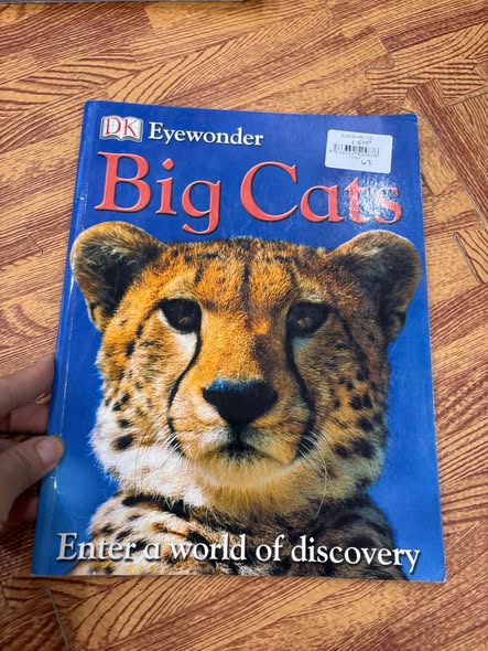 DK EYEWONDER: BIG CATS — ENTER A WORLD OF DISCOVERY   — ảnh 1