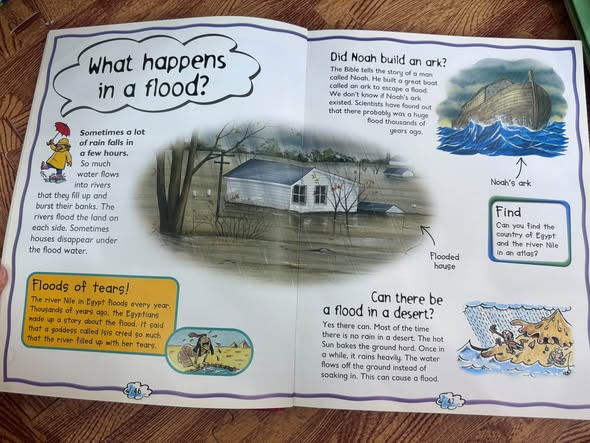WHY? WHY? WHY? FIRST BOOK OF QUESTIONS AND ANSWERS — ảnh 3
