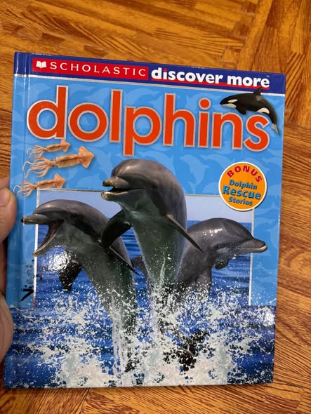 SCHOLASTIC DISCOVER MORE: DOLPHINS
