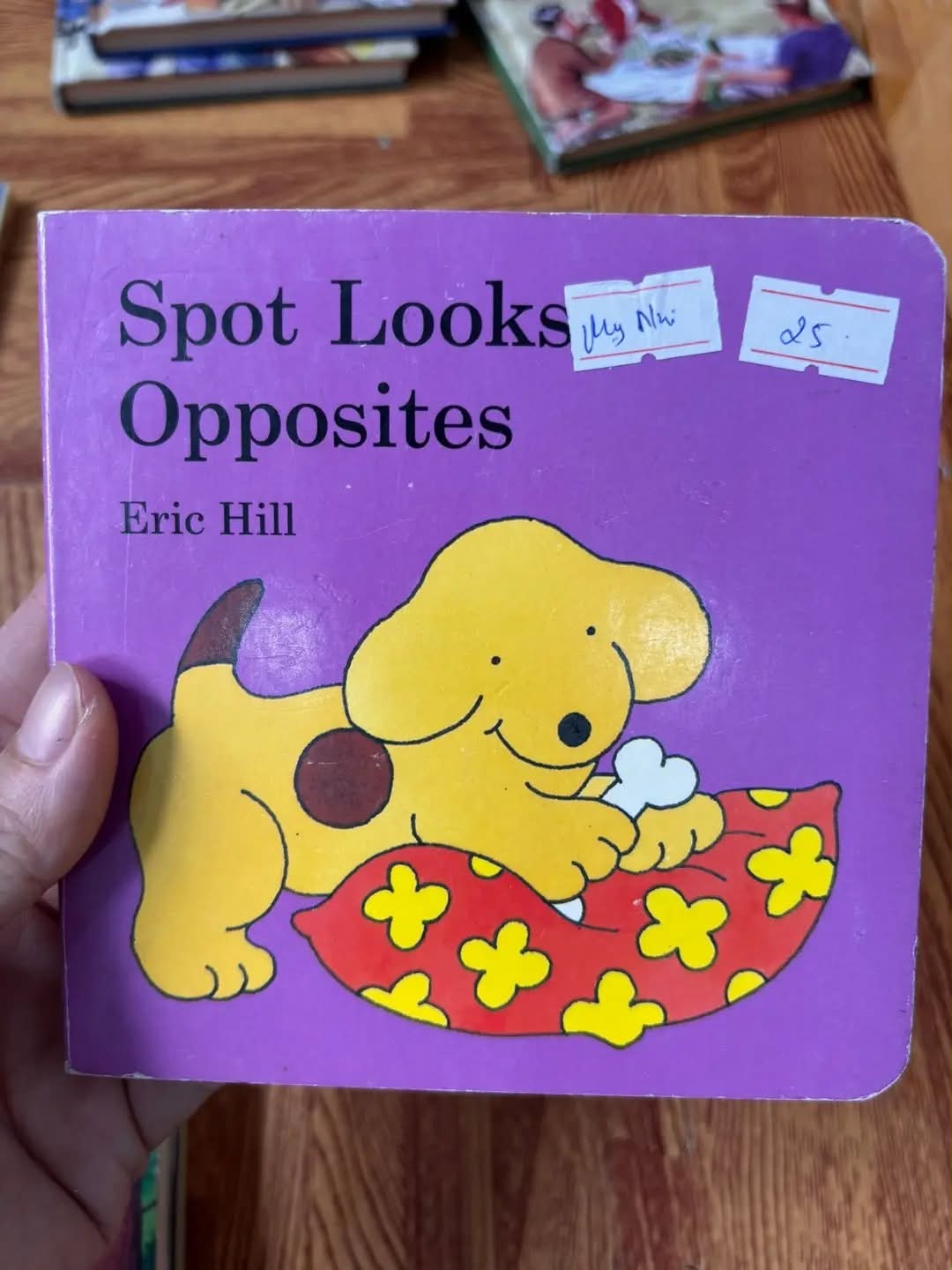 Spot Looks Opposites — ảnh 1