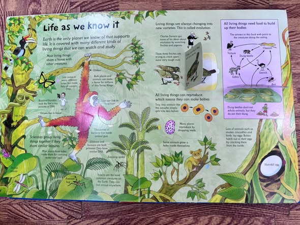 SEE INSIDE SCIENCE — ảnh 5