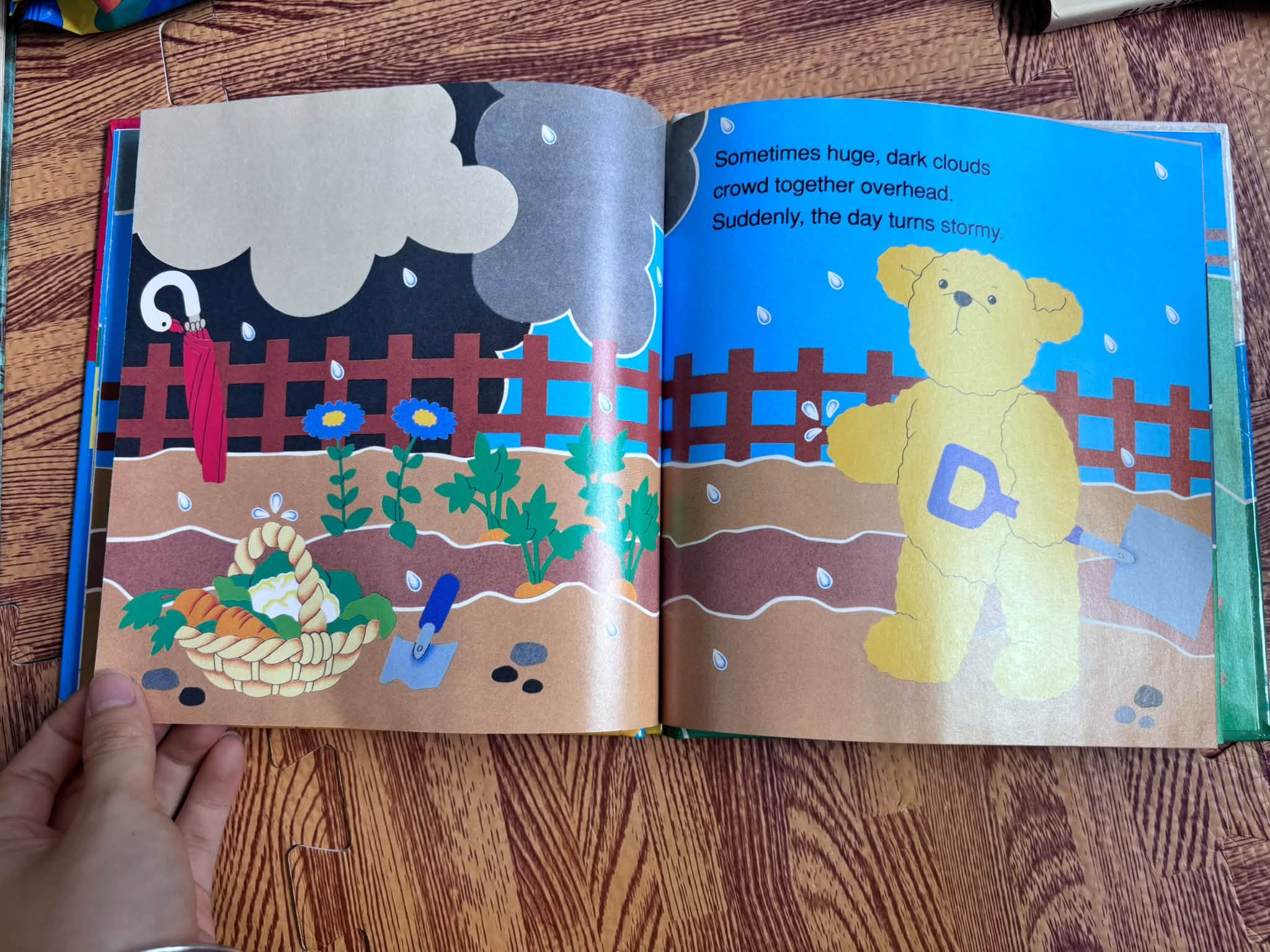 RAIN (BEAR FACTS) image 2
