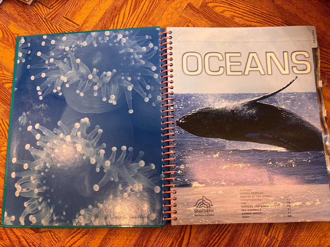 OCEANS: THE ULTIMATE GUIDE TO MARINE LIFE — ảnh 2