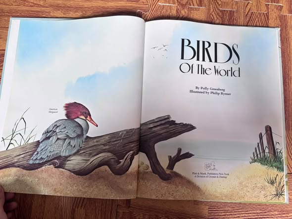 SÁCH KHÁM PHÁ KHOA HỌC: BIRDS OF THE WORLD image 4