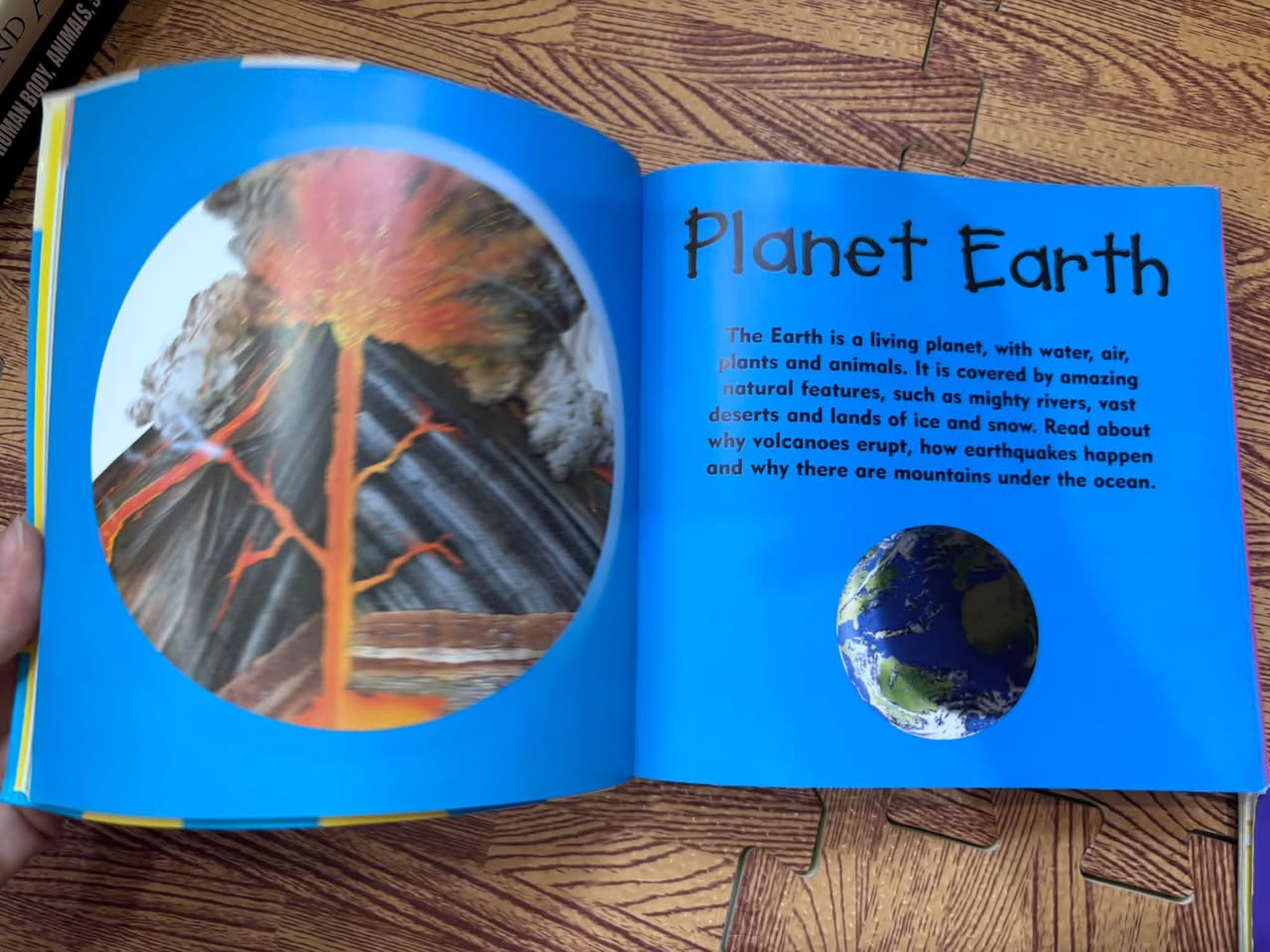 JUNIOR ENCYCLOPEDIA — ảnh 3
