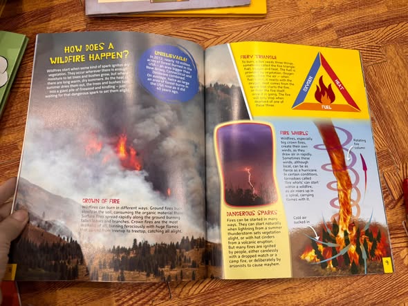 WHEN DISASTER STRIKES: EXTREME FIRES AND FLOODS — ảnh 5