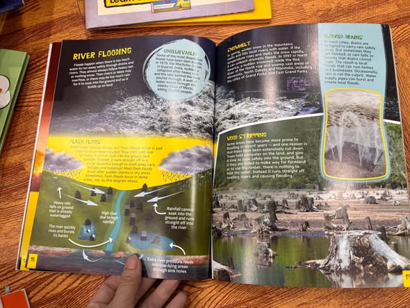 WHEN DISASTER STRIKES: EXTREME FIRES AND FLOODS — ảnh 3