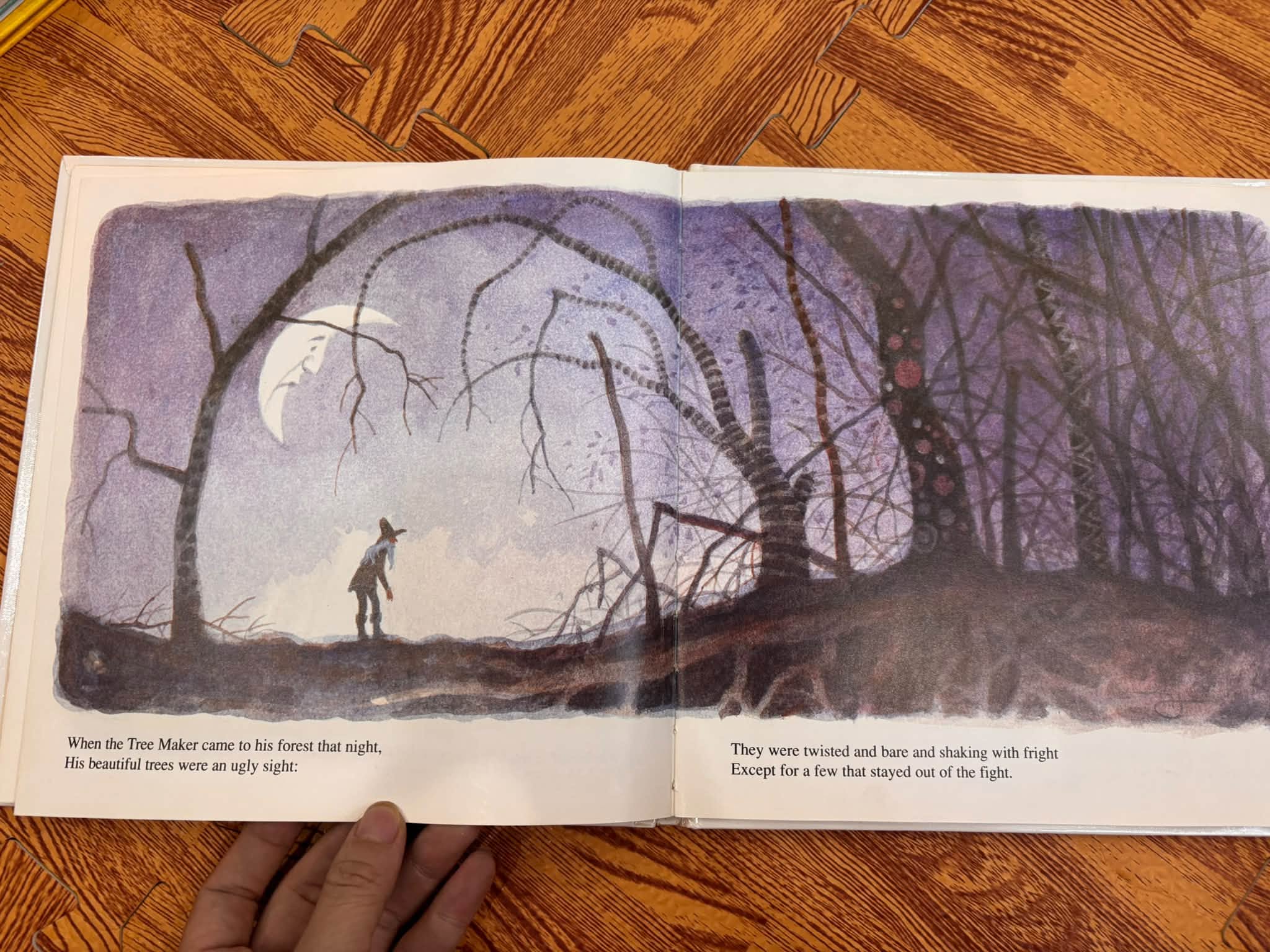 THE FIRST FOREST  image 6