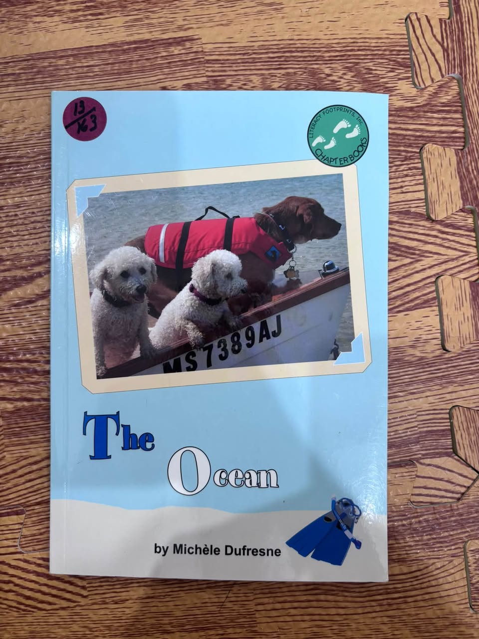THE OCEAN — ảnh 1