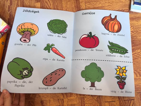 ELSŐ 100 SZAVAM NÉMETÜL  — ảnh 3
