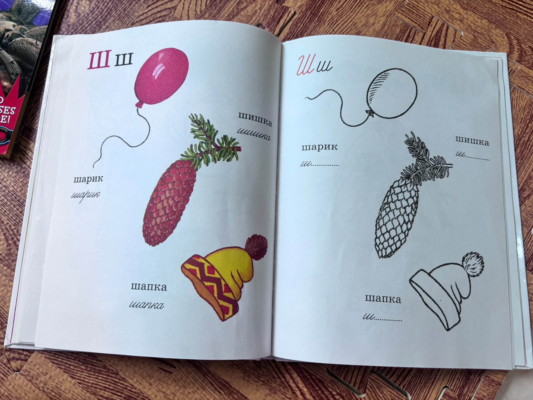 SÁCH HỌC BẢNG CHỮ CÁI TIẾNG NGA: АЗБУКА ДЛЯ САМЫХ МАЛЕНЬКИХ — ảnh 4