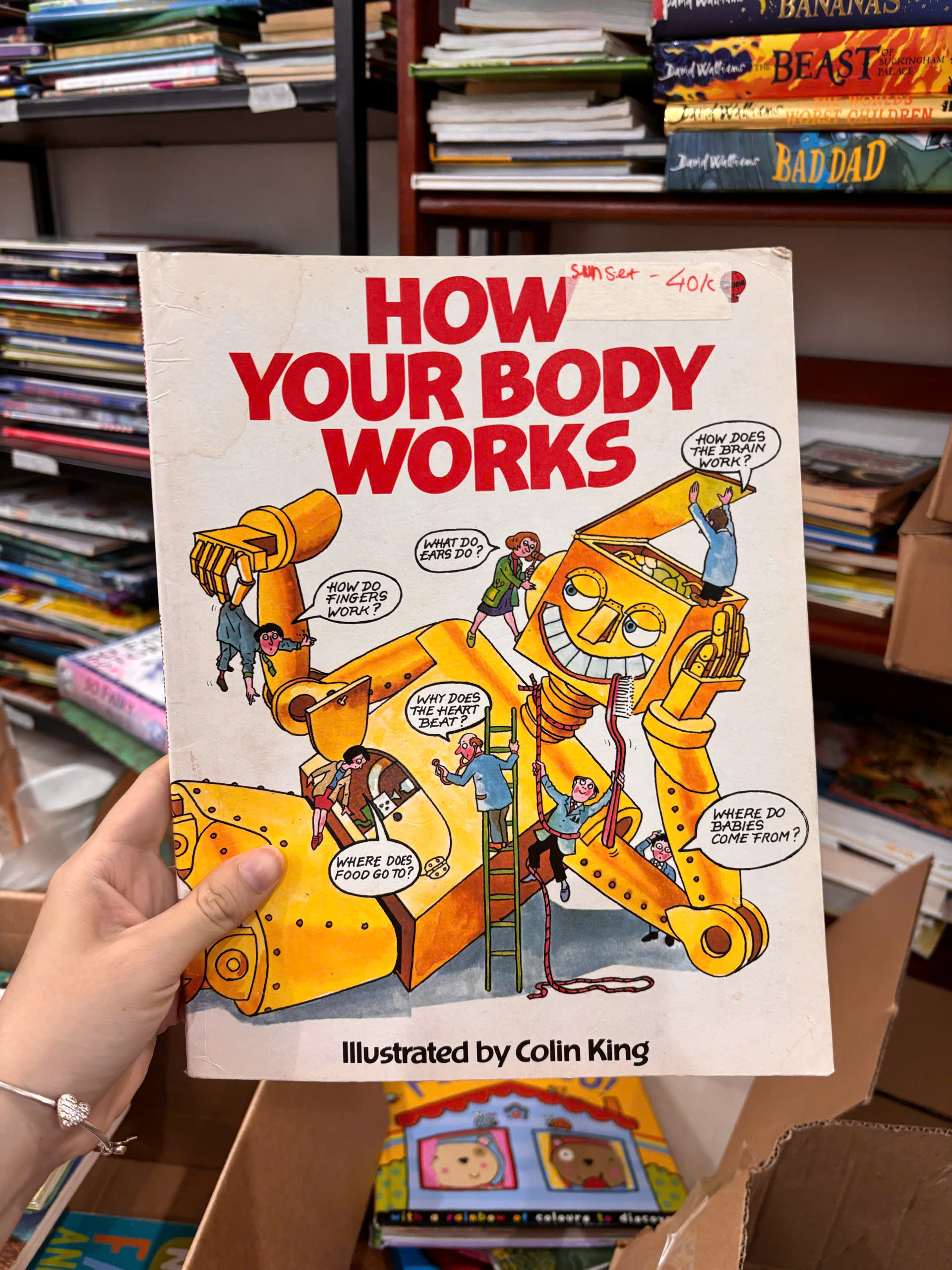 How Your Body Works