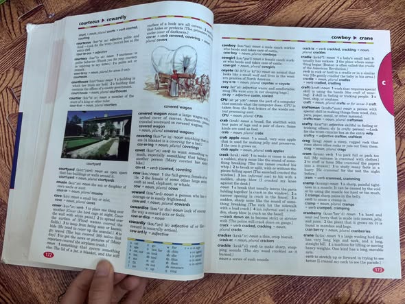 WEBSTER'S NEW WORLD CHILDREN'S DICTIONARY (SECOND EDITION) — ảnh 5