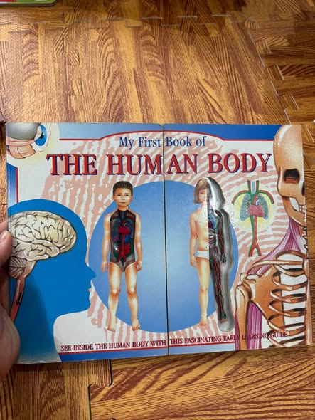 MY FIRST BOOK OF THE HUMAN BODY