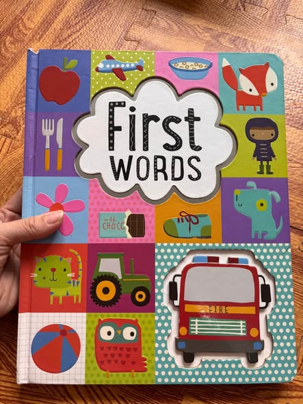 FIRST WORDS (TOUCH & FEEL / EMBOSSED DIE-CUT BOARD BOOK)