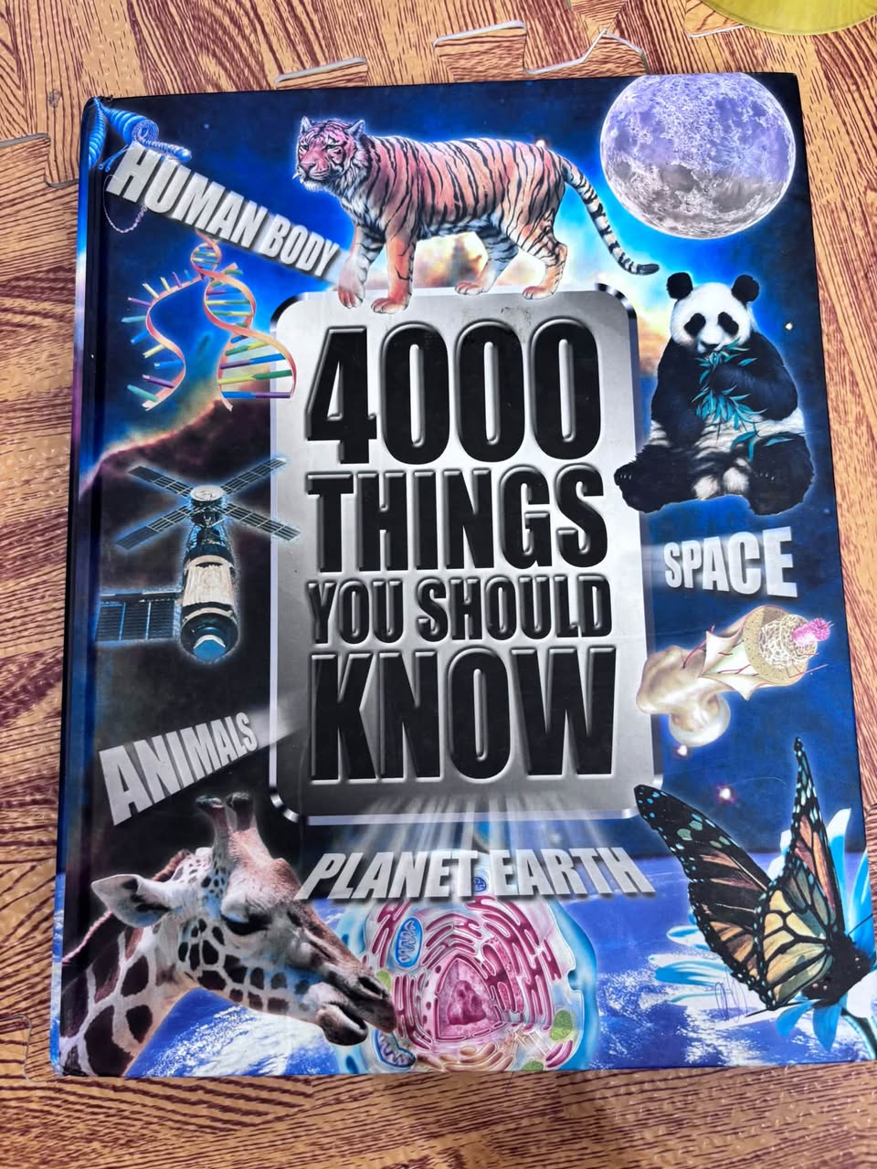 4000 THINGS YOU SHOULD KNOW — ảnh 1