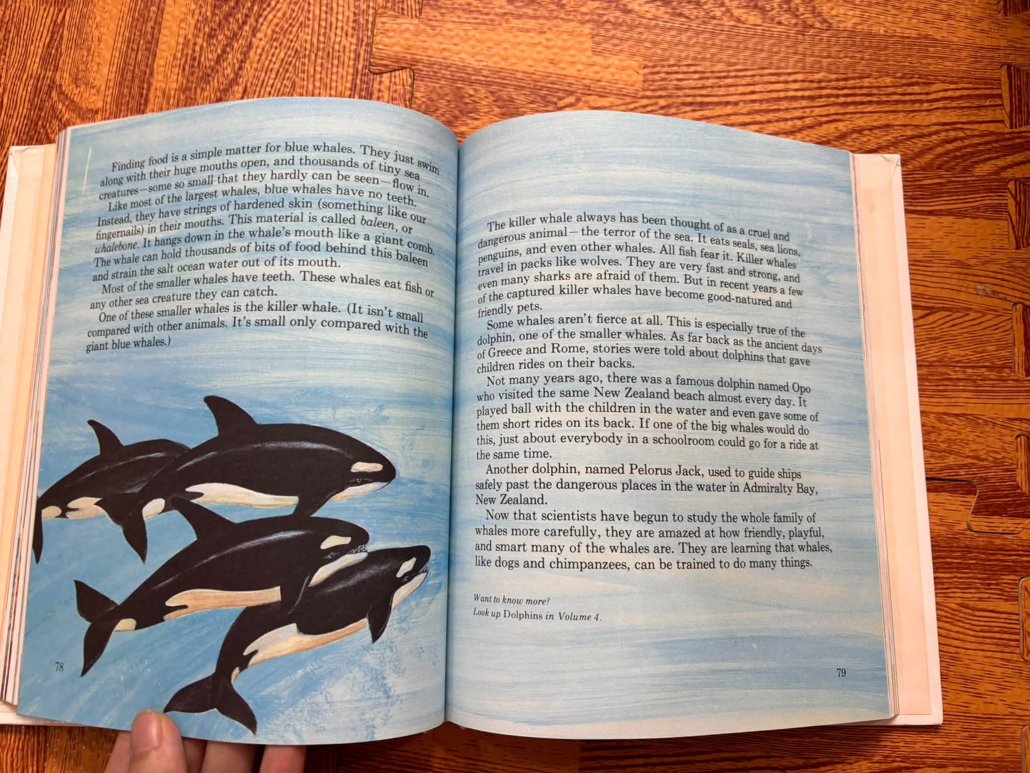 THE YOUNG CHILDREN'S ENCYCLOPEDIA - VOLUME 16: V-Z (BRITANNICA) image 6