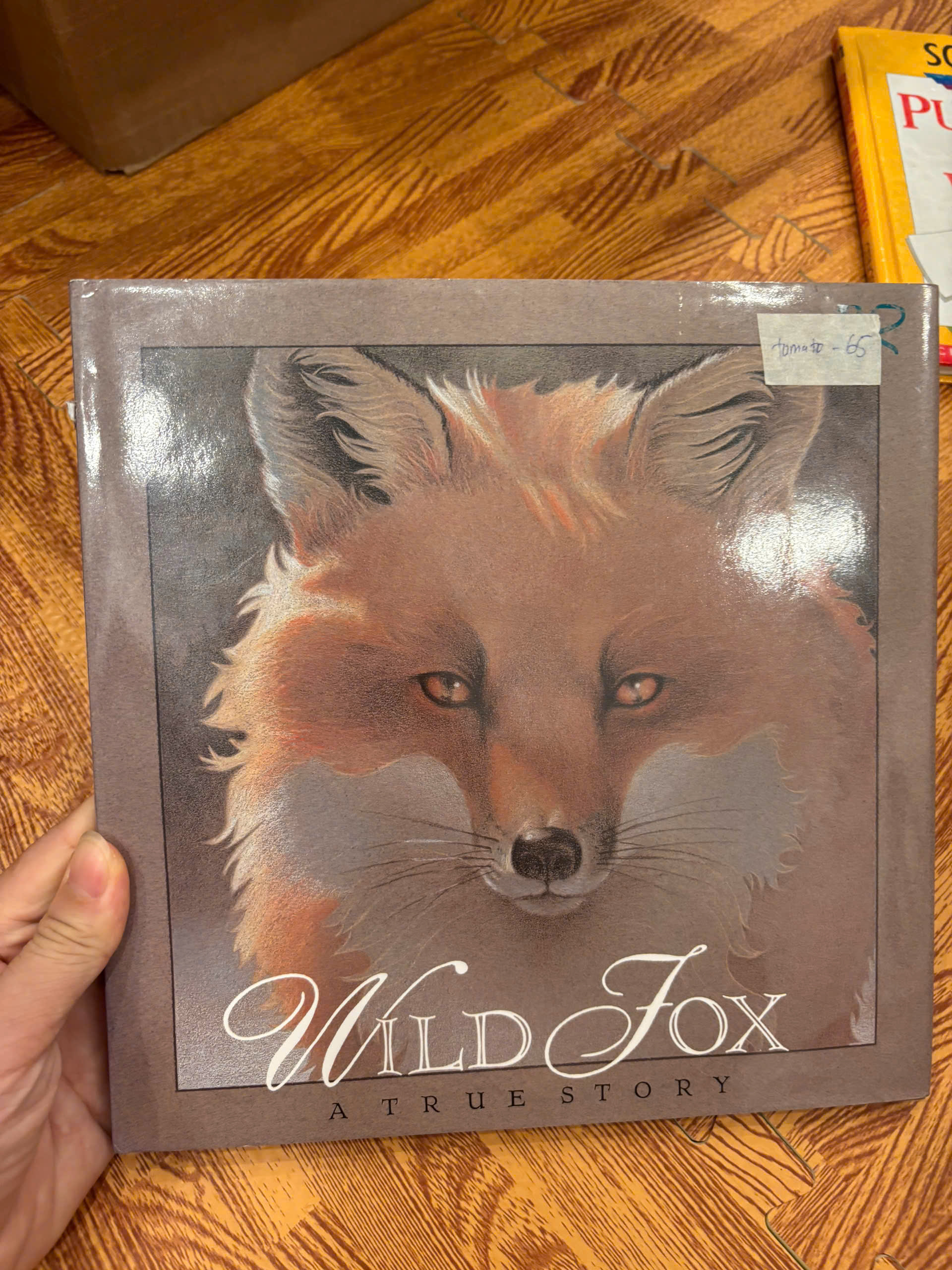 Wild Fox: A True Story