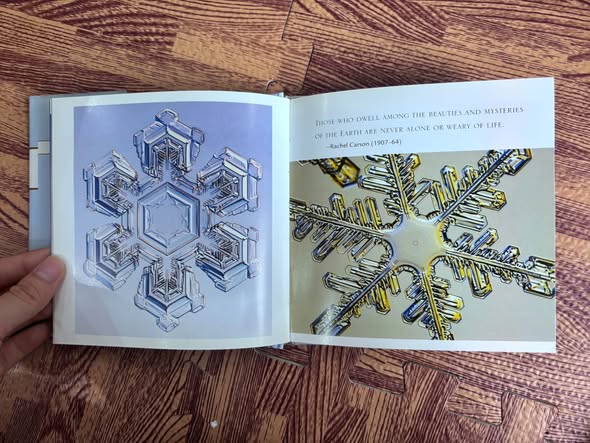 THE LITTLE BOOK OF SNOWFLAKES image 3
