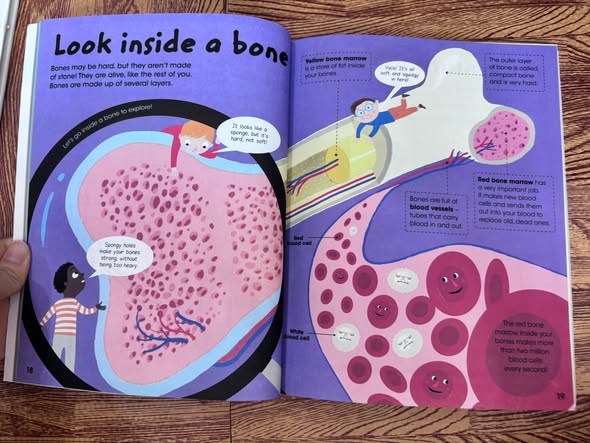 THE AMAZING HUMAN BODY — ảnh 5