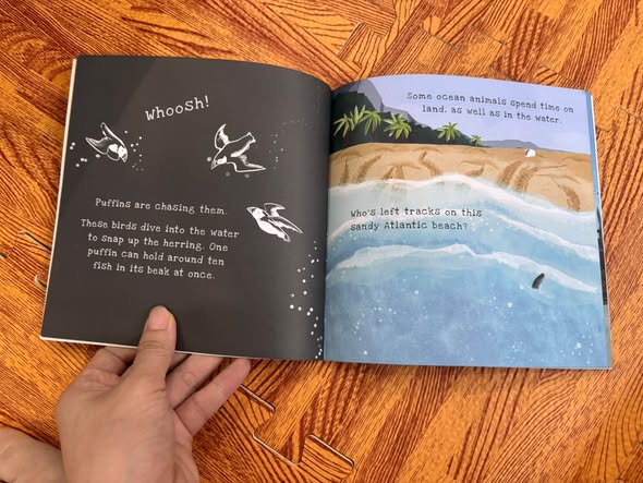 OCEANS: A SHINE-A-LIGHT BOOK  — ảnh 4