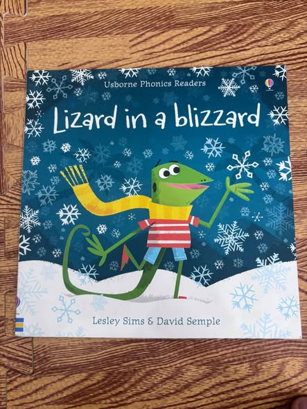 LIZARD IN A BLIZZARD — ảnh 1
