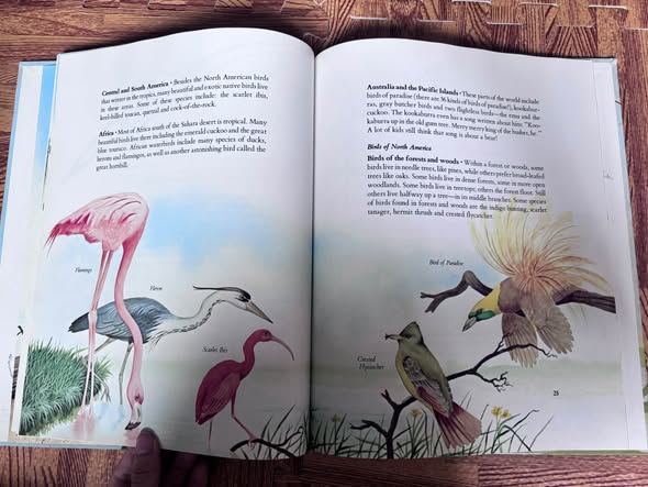 SÁCH KHÁM PHÁ KHOA HỌC: BIRDS OF THE WORLD image 3
