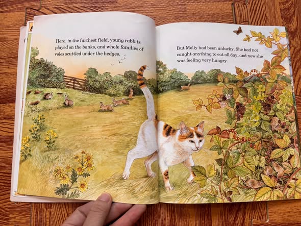 MOLLY'S SUPPER - WINDY EDGE FARM (JILL DOW)   — ảnh 4