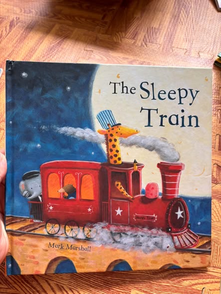 THE SLEEPY TRAIN 